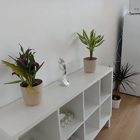 Bella Apartment